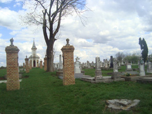 Friedhof 2012